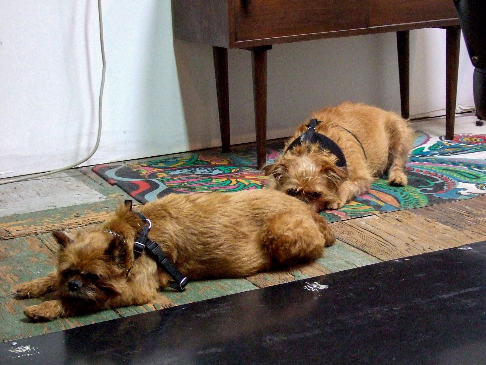 Haircut In Downtown 03